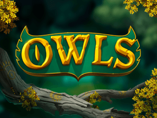 Owls screenshot