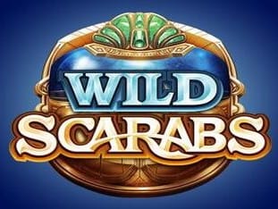 Wild Scarabs screenshot